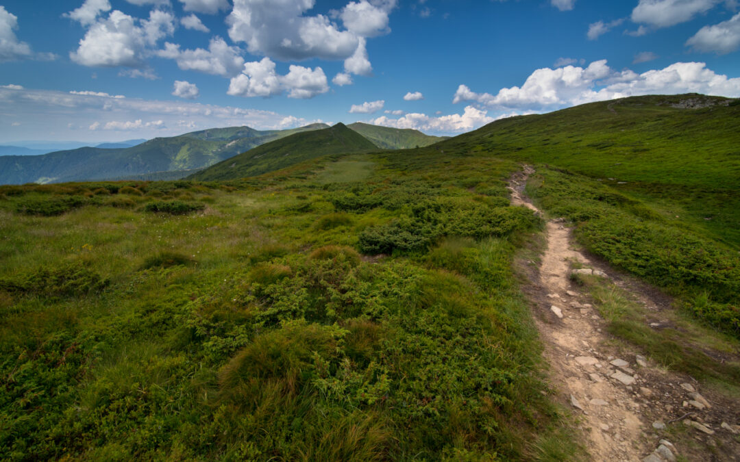 Podkarpacie poza utartym szlakiem: odkryj ukryte perełki regionu