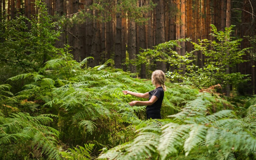 Leśne kąpiele i cisza – jak odzyskać równowagę w podkarpackiej naturze